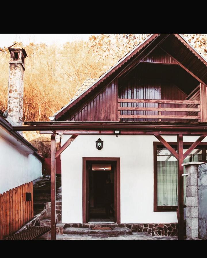 シギショアラ Sedra Houseヴィラ エクステリア 写真